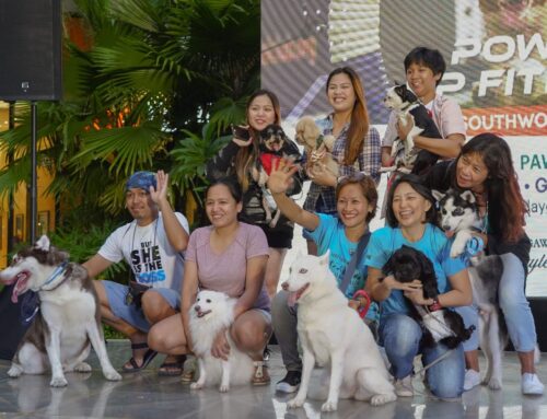 Southwoods Furball Fitness